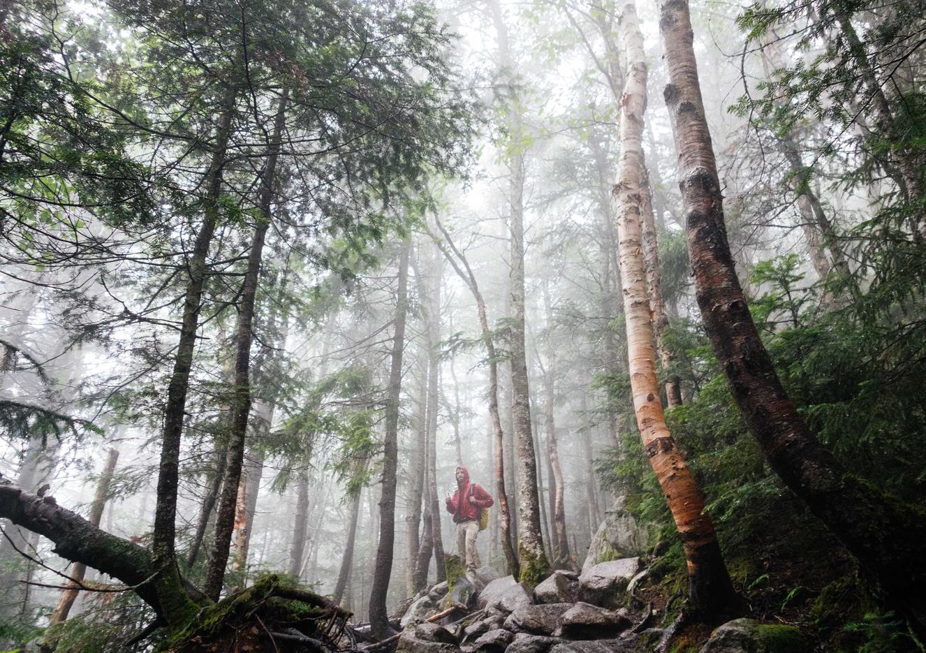 鼎汇看球吧直播app详情下载教程手机版