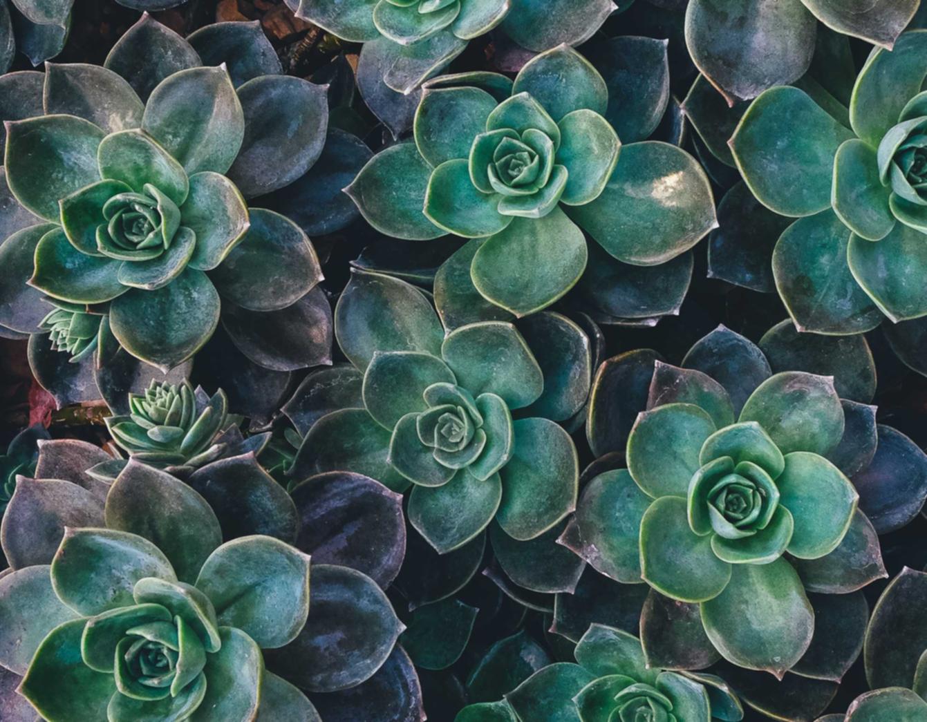 海信通信实名账号：甘肃防护服购买平台