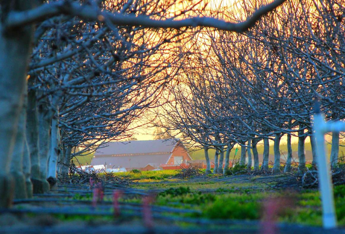 香烟如何影响运动员的表现?