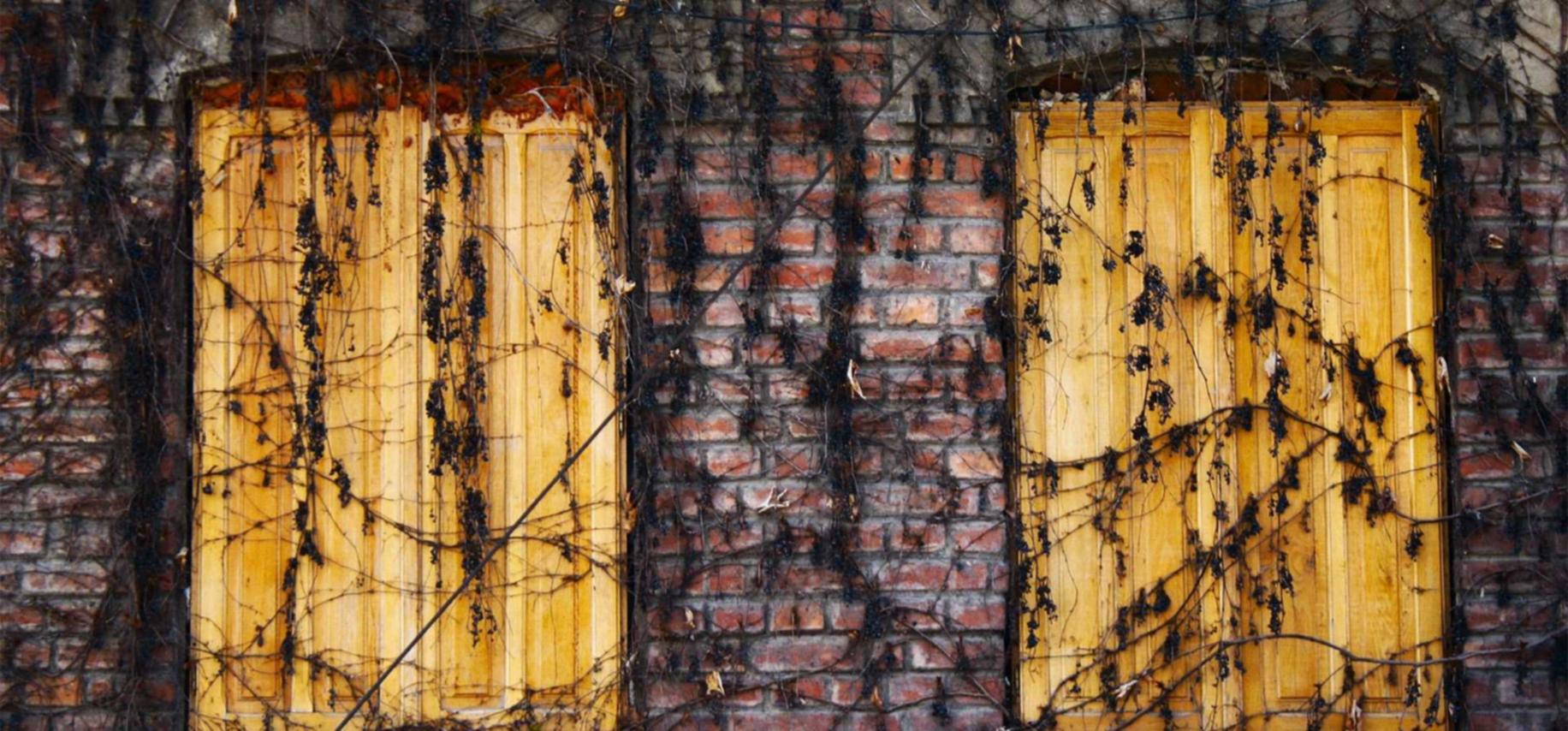 实名手机卡买卖:腾讯视频原创怎么注册账号