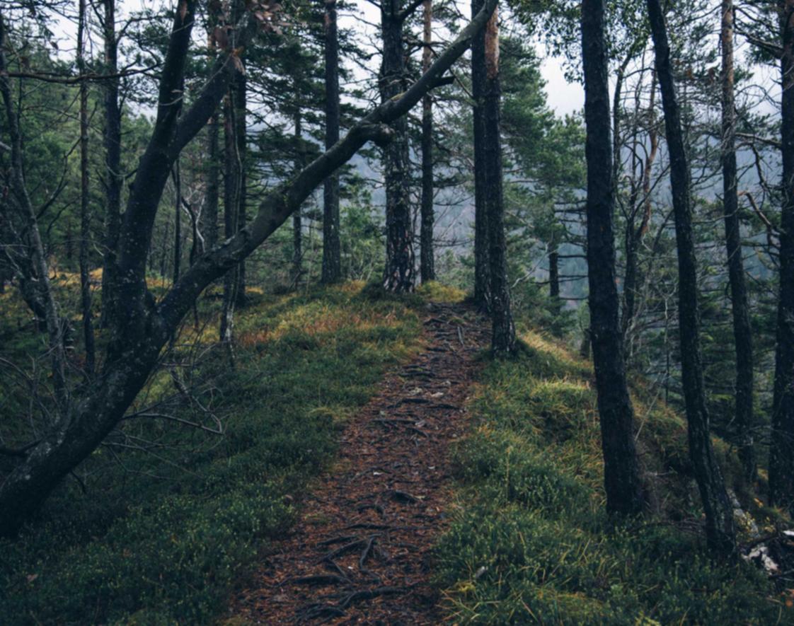 解读ddos攻击ip软件详情下载教程- 高德的出租车怎么注册账号