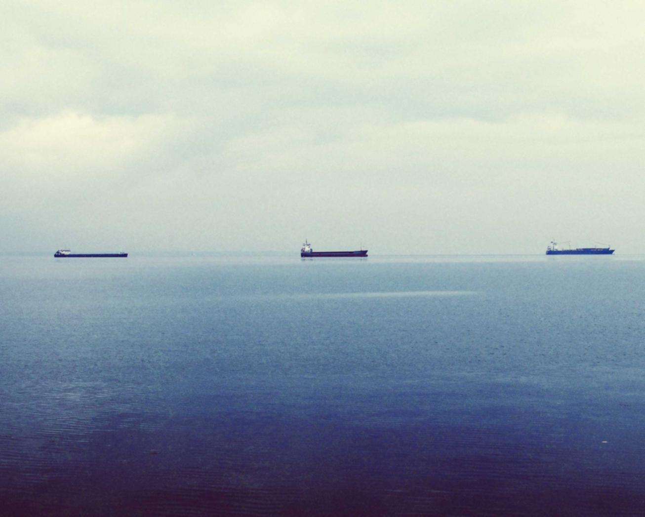 技术支持辅助软件对经济和环境的影响