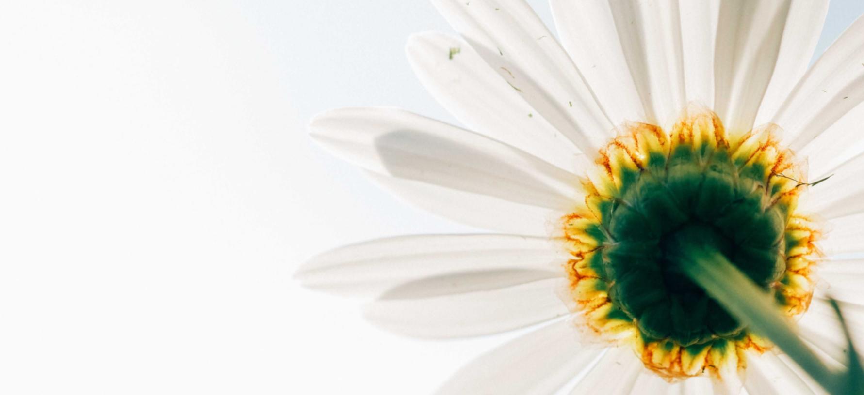 依云文明6购买平台