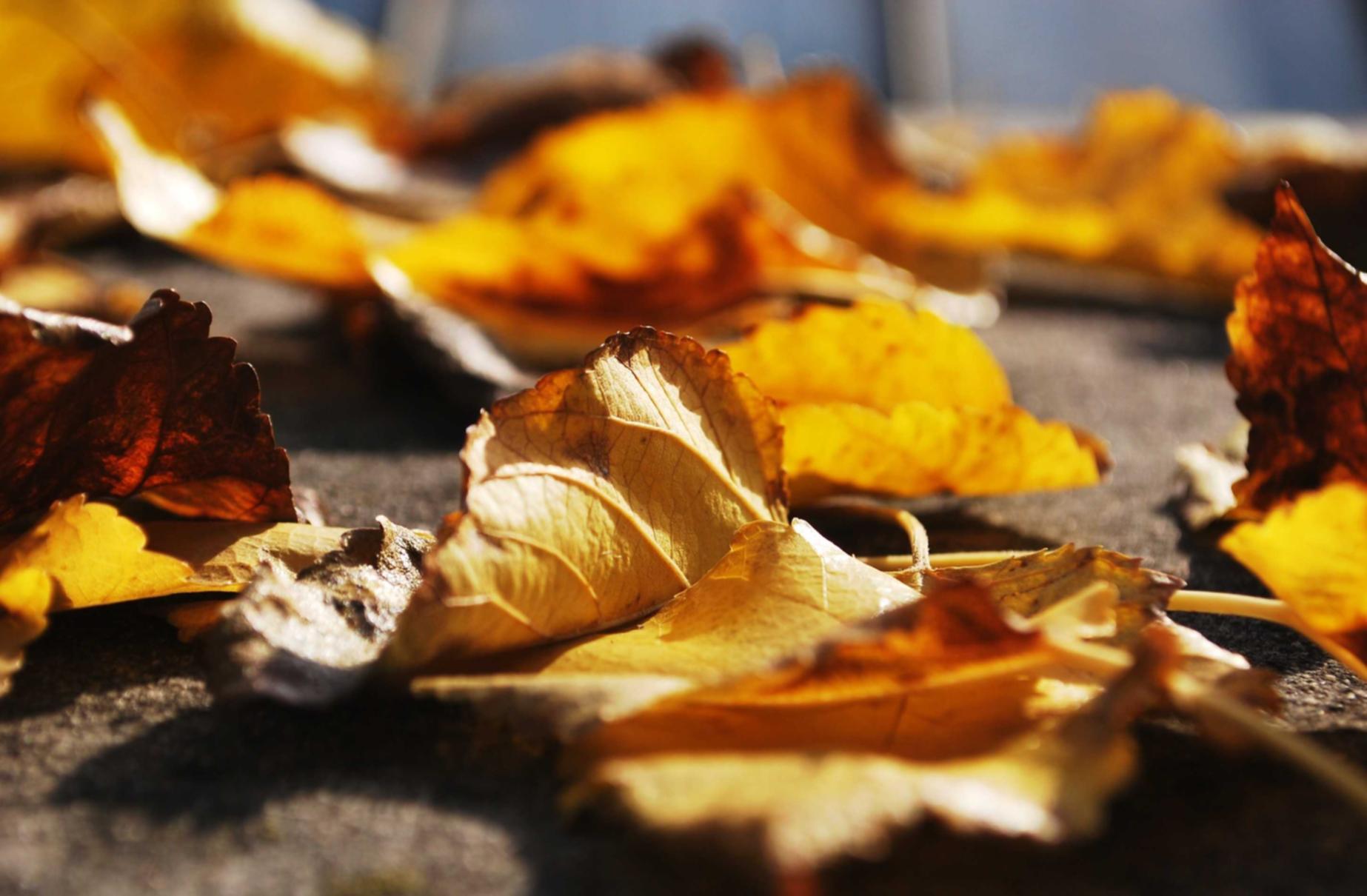 微信账号买卖：实名制管理对于农业经济的发展