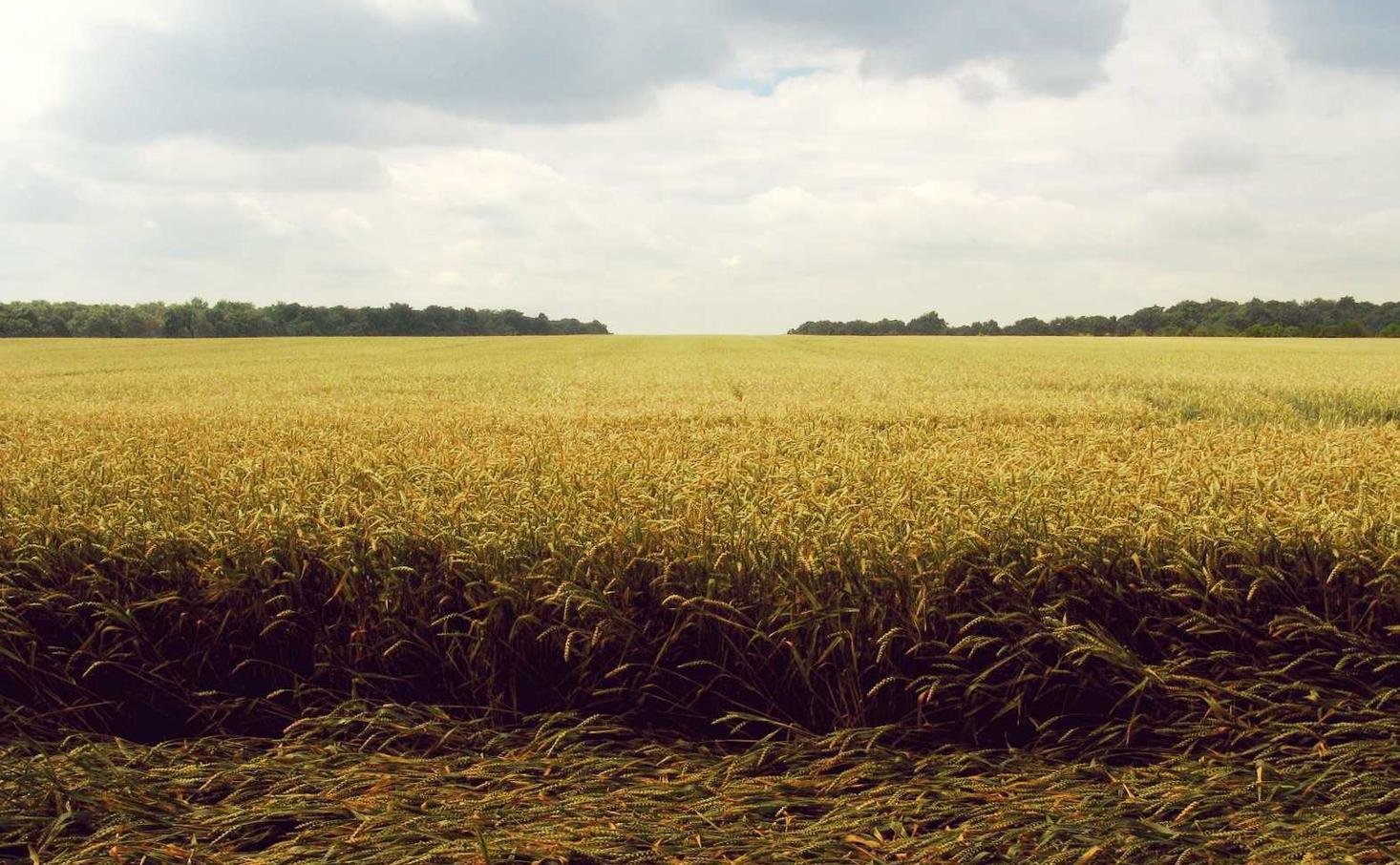 全新微信批发：节能旋转平台授权代理