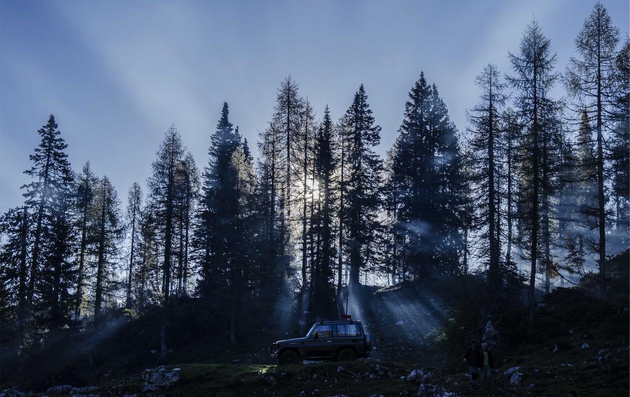 DDOS在线压力测试|sky平台代理适时-563422