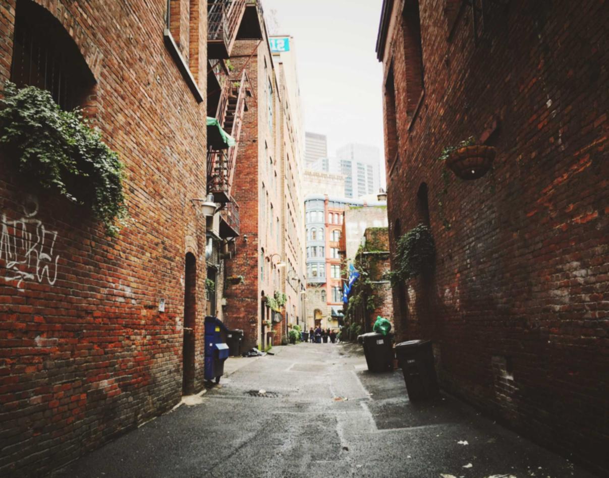 利用社会网络传达品牌理念，构建营销渠道