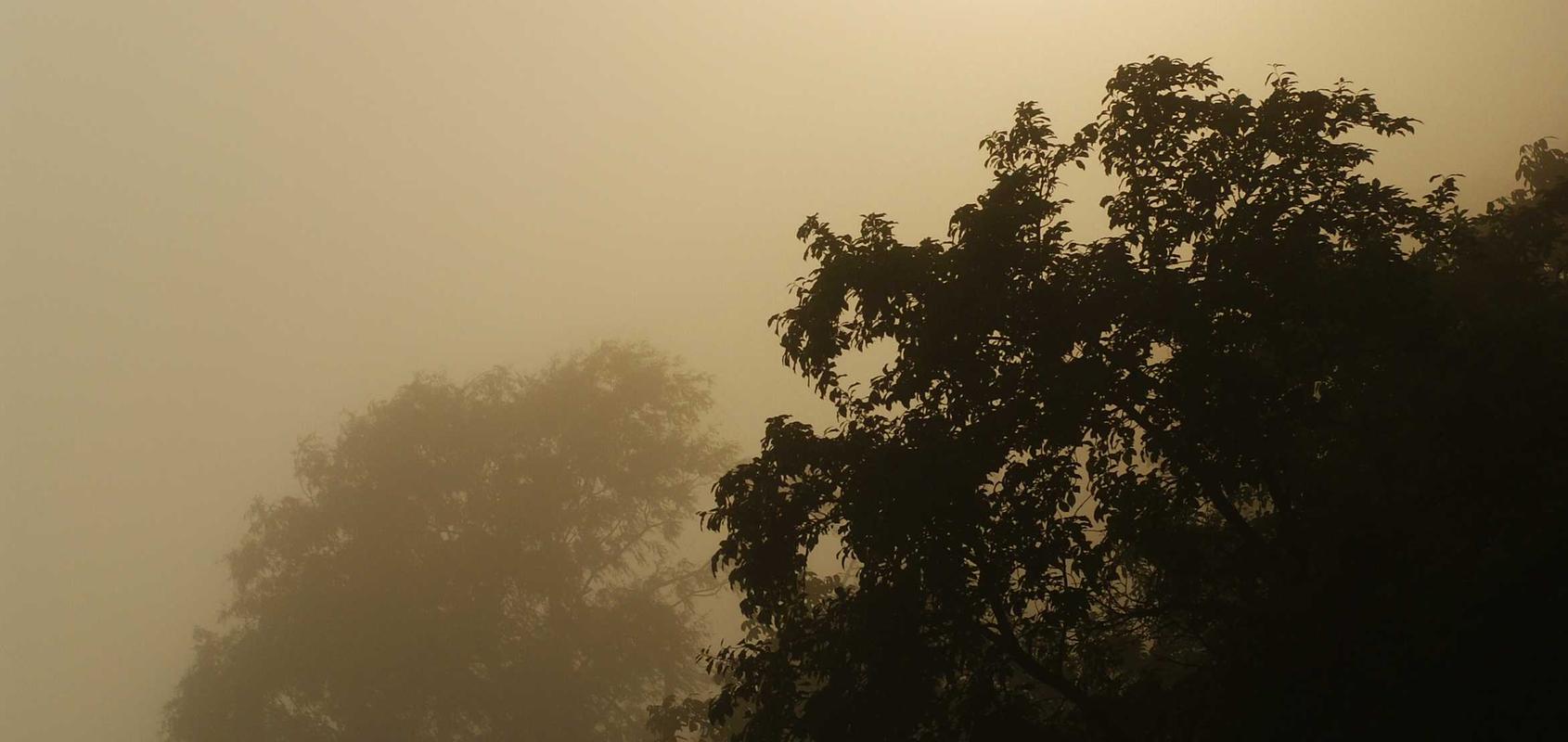 炸房器|黑客攻击后的网络安全重建