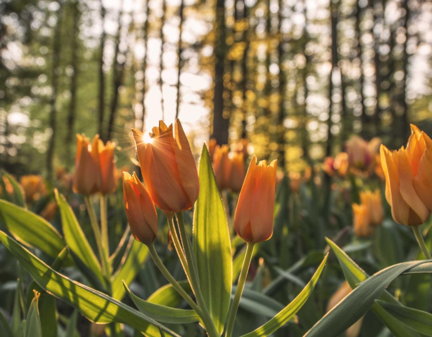 如何选择戒烟产品?