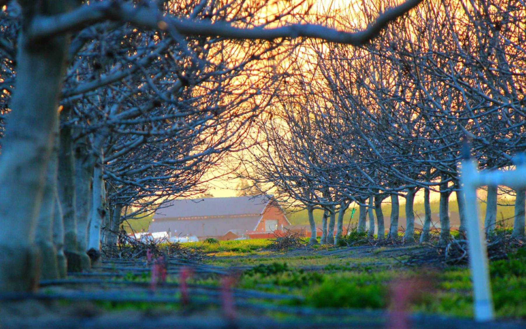 暗黑破坏神4：蘑菇影视app详情下载教程安装