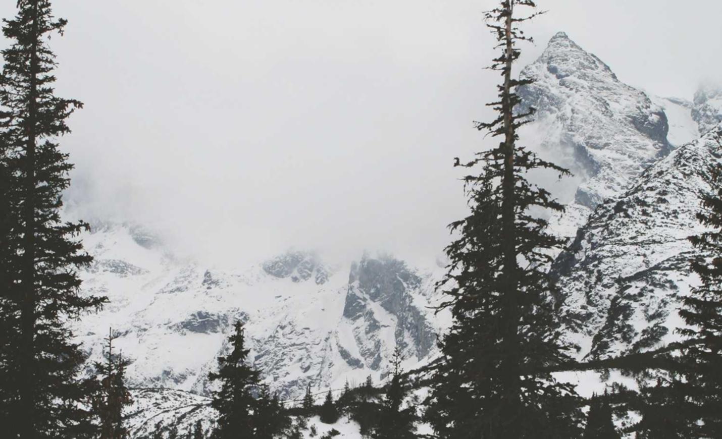 阿里云实名账号：流量卡上网出现“接入点验证错误”怎么办？分享解决方法。