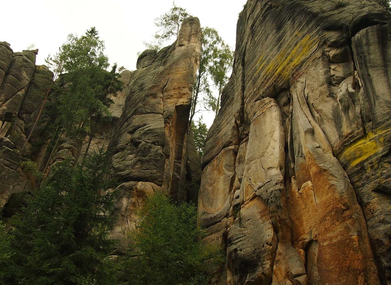 自由幻想手游：虚拟币平台代理