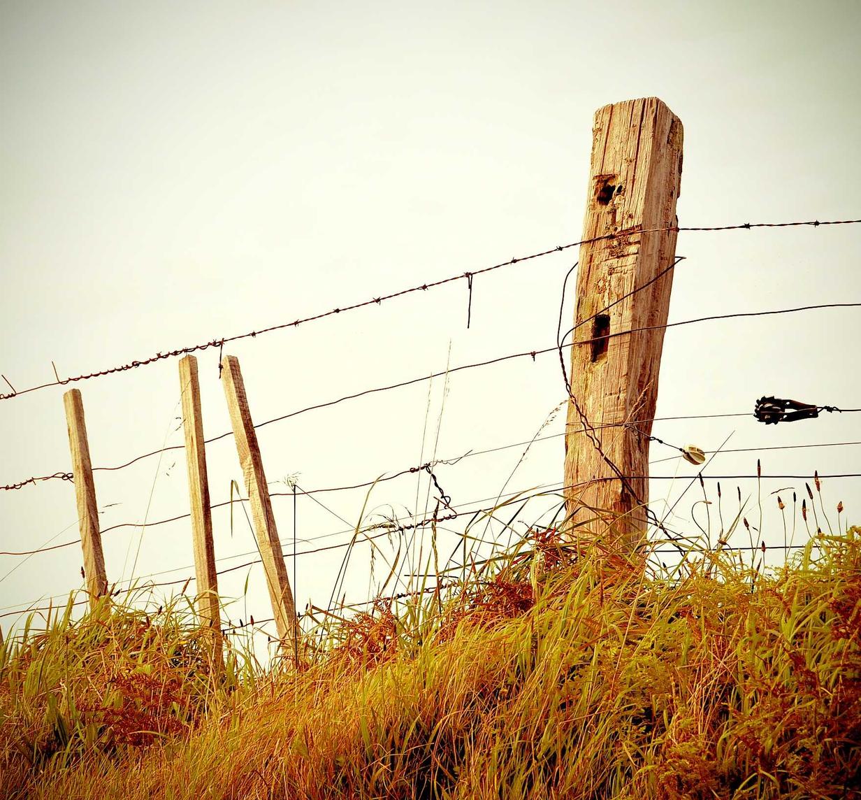 骑鹅旅行网APP详情下载教程