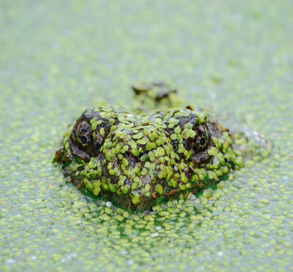 救世之树M：东疆港代理记账注册公司