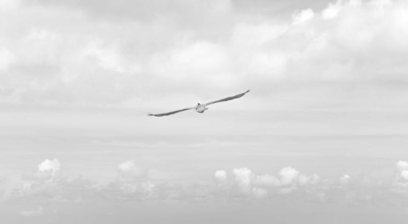 微信号出售：短信安全大揭秘，详细讲解短信安全问题