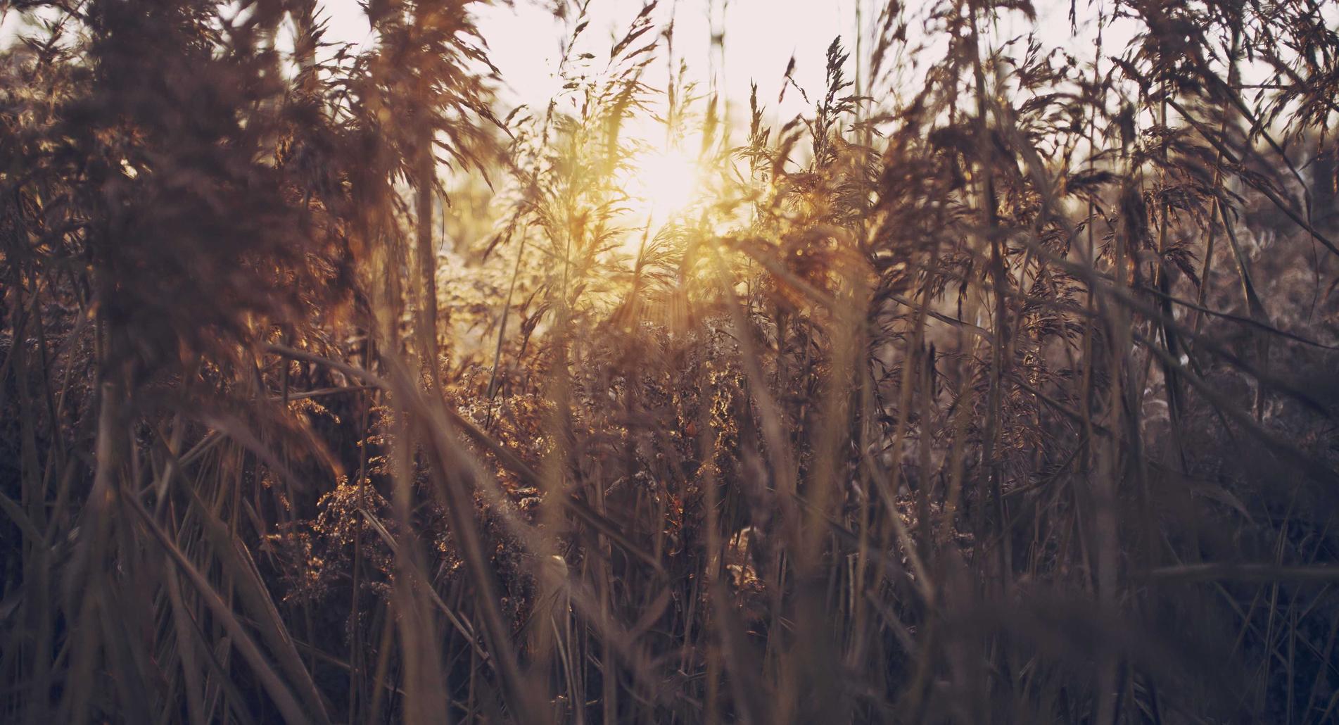 购买服装送货平台