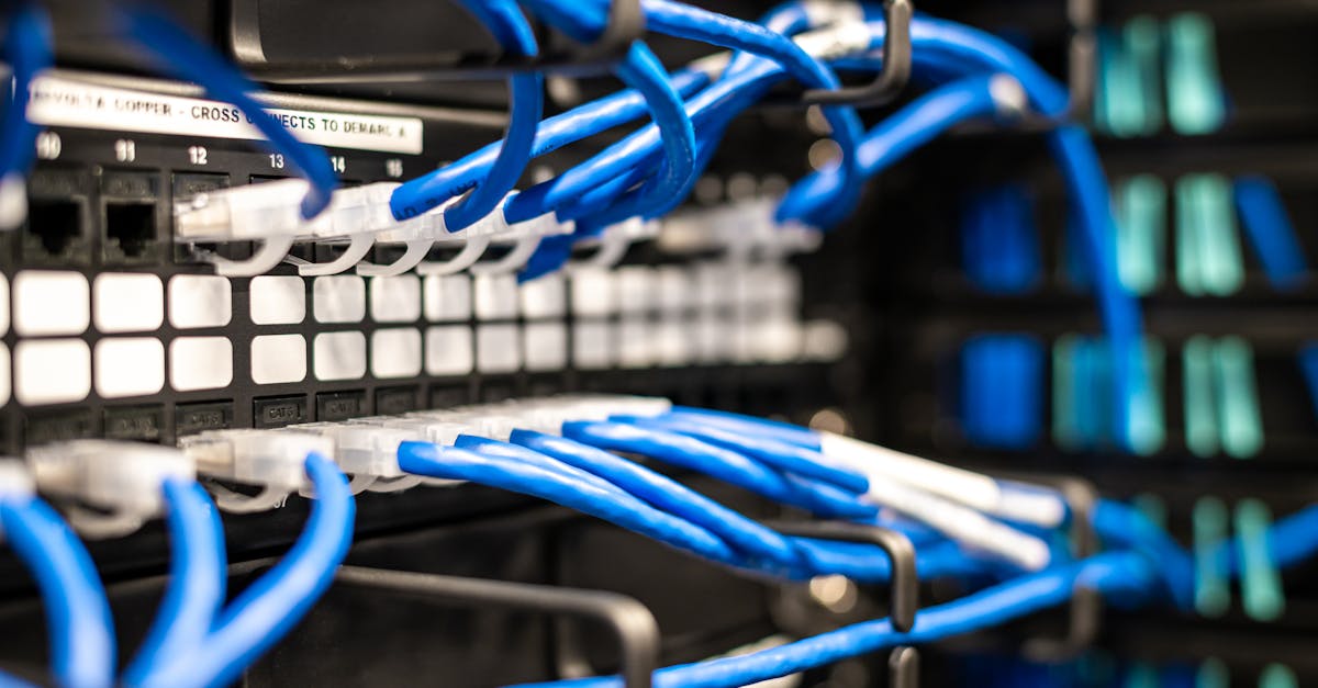 如何使用长尾关键词来建立您的声誉