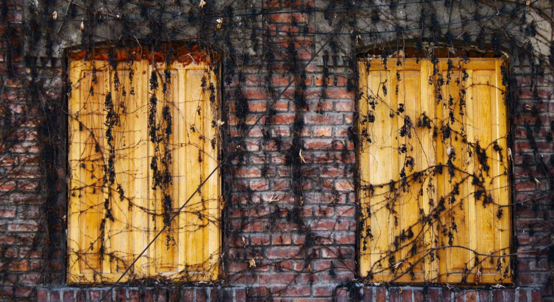 九州ip实名账号:语c圈app详情下载教程