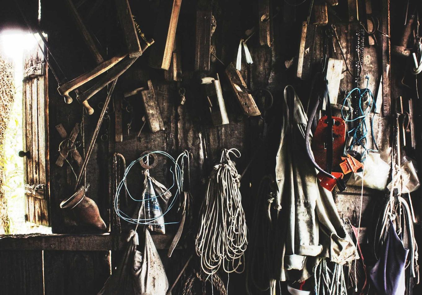 野草云实名账号:云集APP详情下载教程电子书