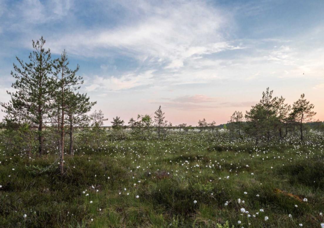 想要成为游戏高手不必依赖技术支持辅助