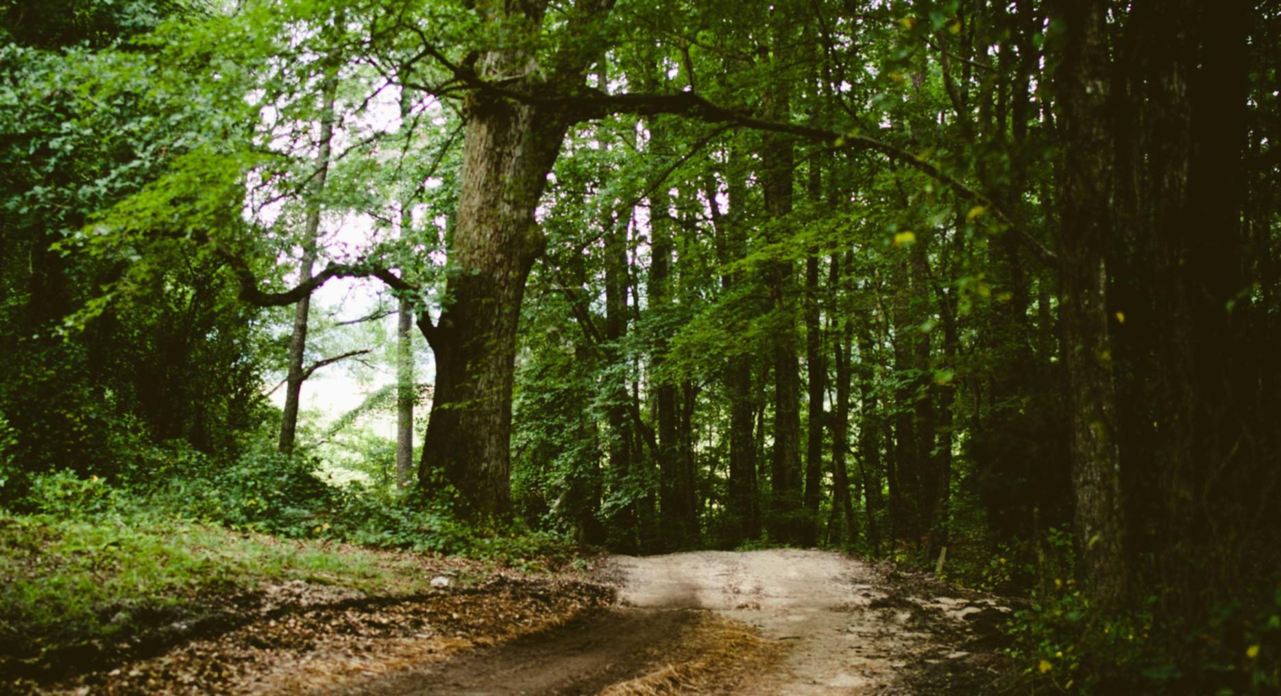 怎么注销电话卡- 韩服代注册自定义账号