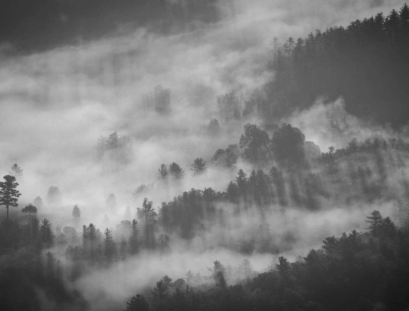 日税七星香蕉爆珠：百富美加油app详情下载教程